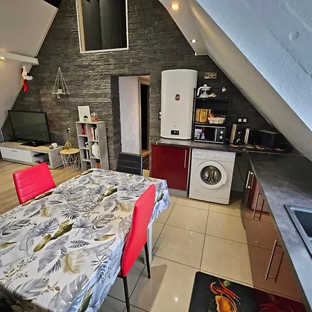 Vallee De Munster 3 Etoiles Chez Flavie & Ludo Apartment *