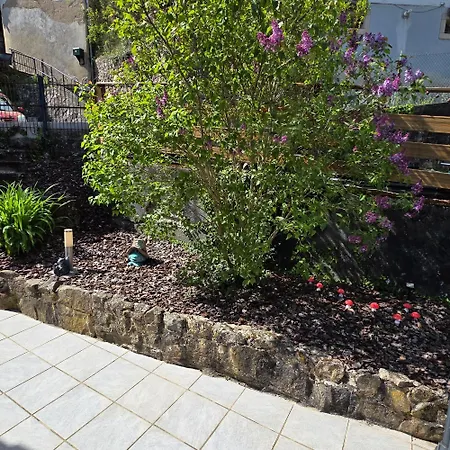 Vallée De Munster 3 étoiles Chez Flavie&ludo Appartement Muhlbach-sur-Munster